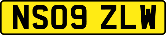 NS09ZLW