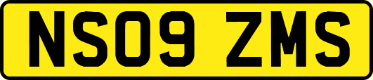 NS09ZMS