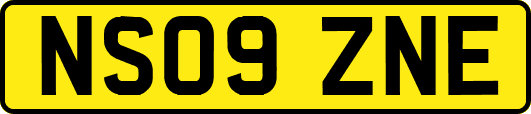 NS09ZNE