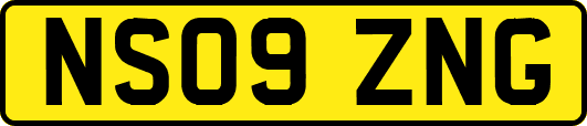 NS09ZNG