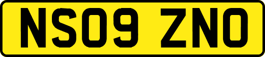 NS09ZNO