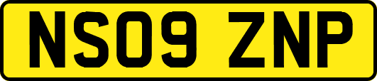 NS09ZNP