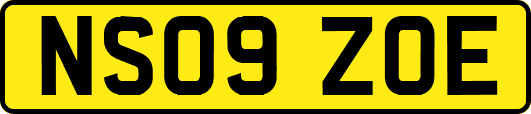 NS09ZOE