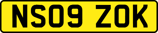 NS09ZOK
