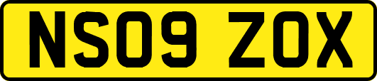 NS09ZOX