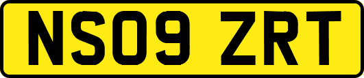 NS09ZRT