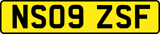 NS09ZSF