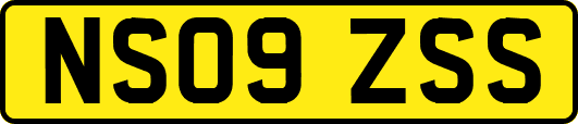 NS09ZSS