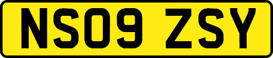 NS09ZSY