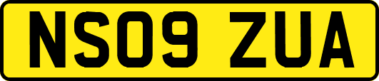 NS09ZUA