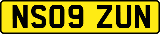 NS09ZUN