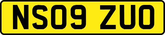 NS09ZUO
