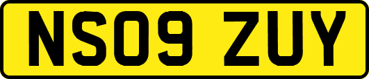 NS09ZUY