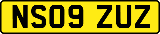 NS09ZUZ