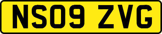 NS09ZVG