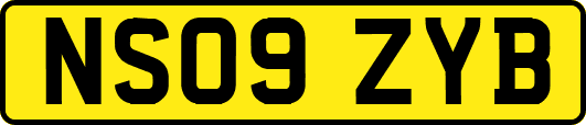 NS09ZYB