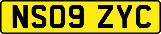 NS09ZYC