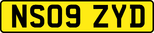 NS09ZYD