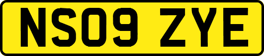 NS09ZYE