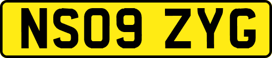 NS09ZYG