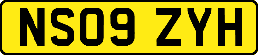 NS09ZYH