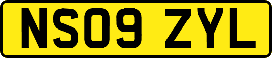 NS09ZYL
