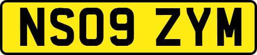 NS09ZYM