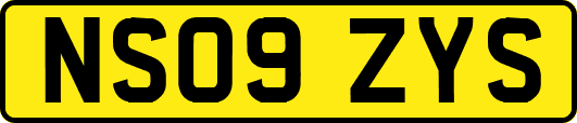 NS09ZYS