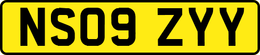 NS09ZYY