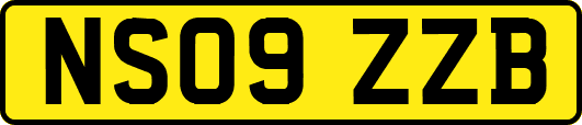 NS09ZZB