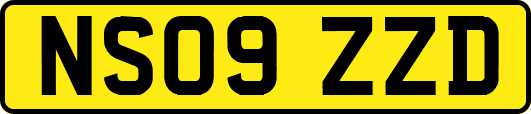 NS09ZZD