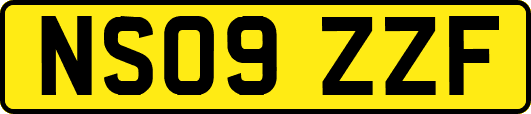 NS09ZZF