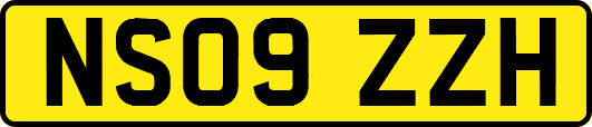 NS09ZZH