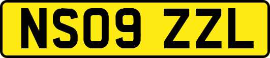 NS09ZZL
