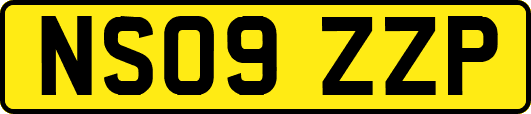 NS09ZZP