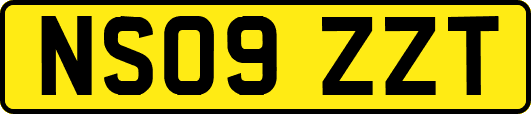 NS09ZZT