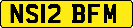 NS12BFM