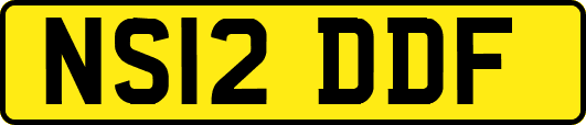 NS12DDF