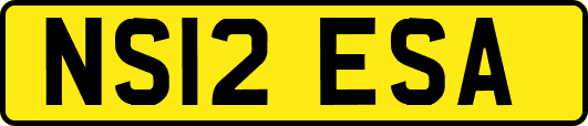 NS12ESA