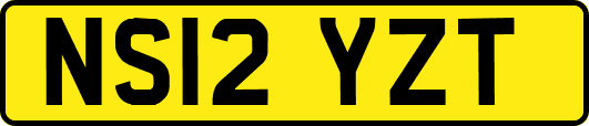 NS12YZT