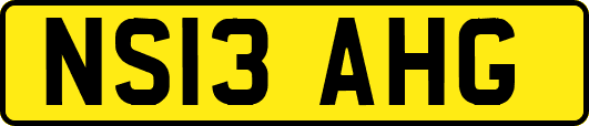 NS13AHG