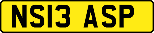 NS13ASP