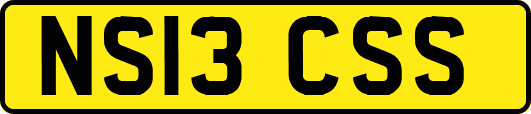 NS13CSS