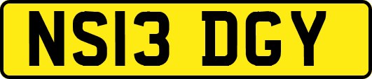 NS13DGY