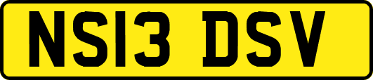 NS13DSV