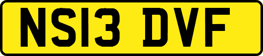 NS13DVF