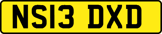 NS13DXD