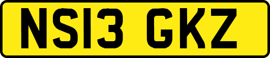 NS13GKZ