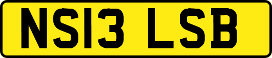 NS13LSB