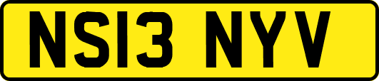 NS13NYV